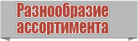 Толстовки с надписями женские с капюшоном